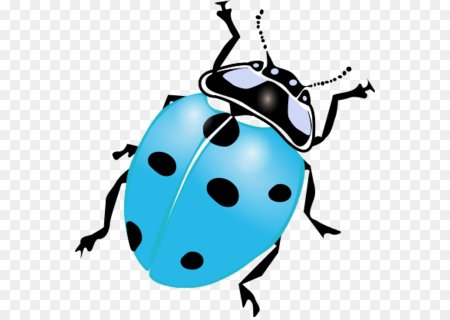 Beetle рисунок