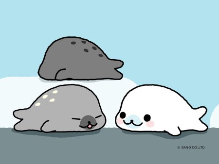 Кавайные морские котики
