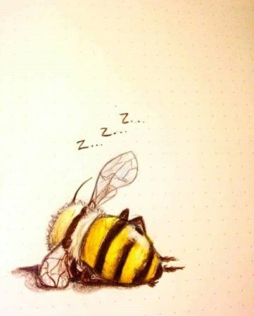 Милые пчелы