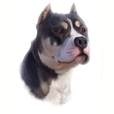 Американский стаффордширский терьер картины