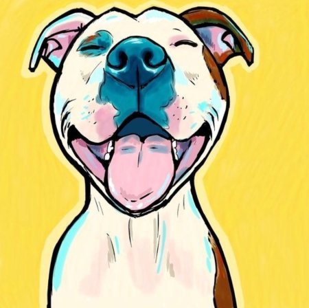 Американский стаффордширский терьер рисунок