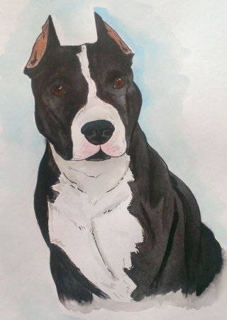 Американский стаффордширский терьер вектор