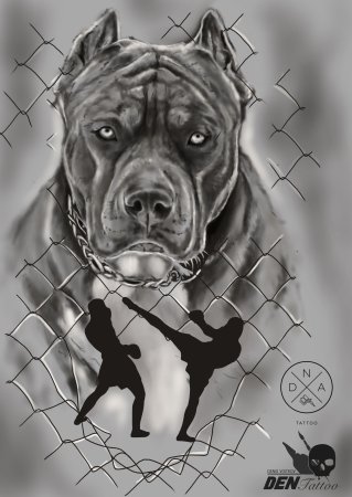 Американский стаффордширский терьер Art