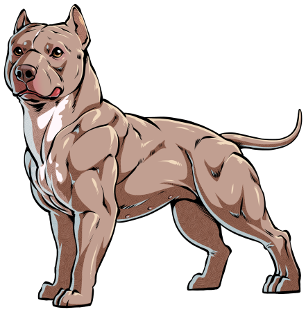 Питбуль маслом