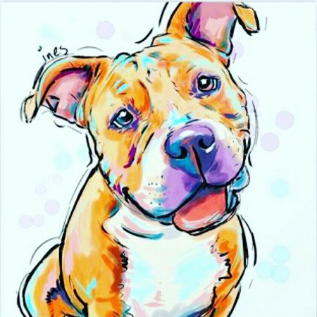 Американский стаффордширский терьер Art
