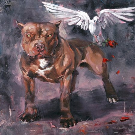 Американский стаффордширский терьер картины