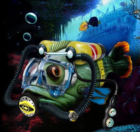 Дайвинг арт