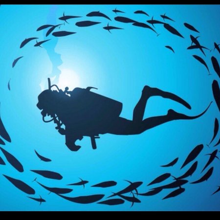 Дайвинг иллюстрация