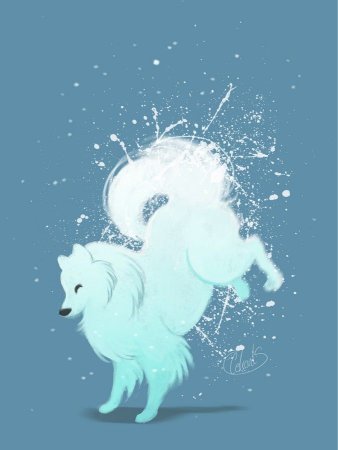 Самоедская лайка арт