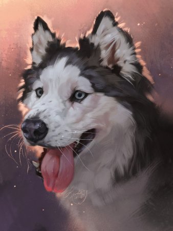 Собака лайка арт