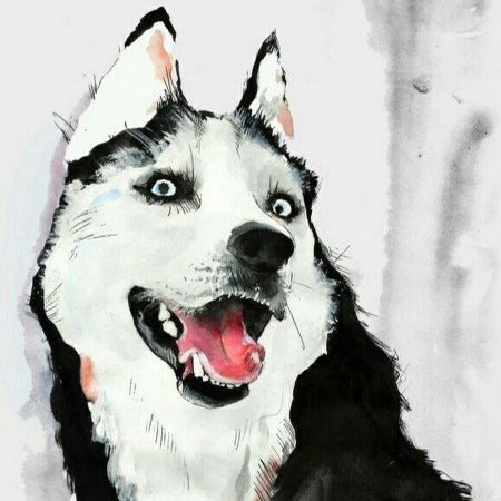 Художники из лайка