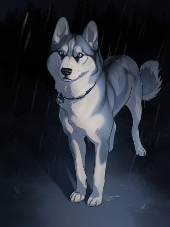 Аниме собаки