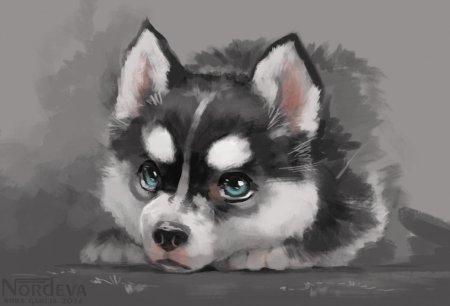 Собака хаски арт