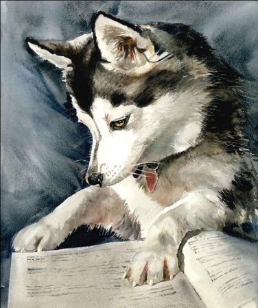 Хаски карандашом