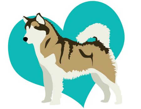 Хаски рисунок