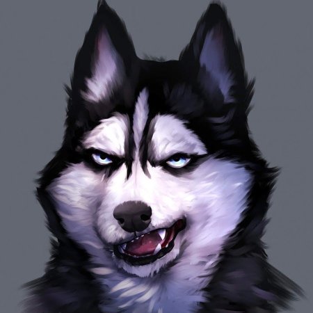Хаски аниме