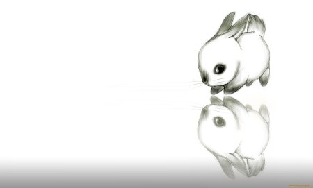 Милые зайчики