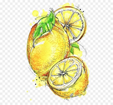 Лимон акварелью
