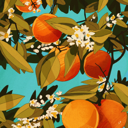 Декоративная живопись апельсин