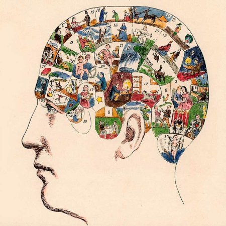 Когнитивное восприятие