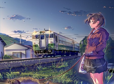 Макото Синкай железная дорога