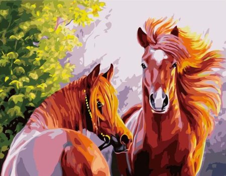 Алмазная мозайка. Лошади 30*40