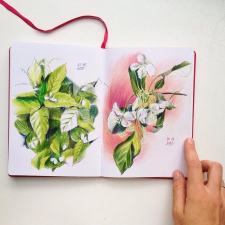 Скетчинг цветными карандашами