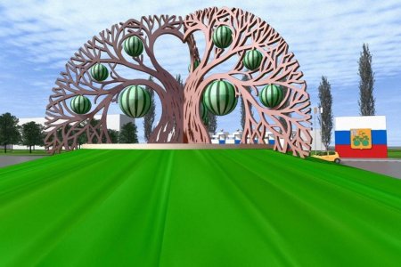 Город Балашов Арбузное дерево