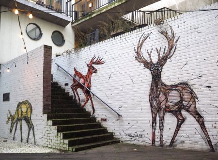 Пиросмани стрит-арт