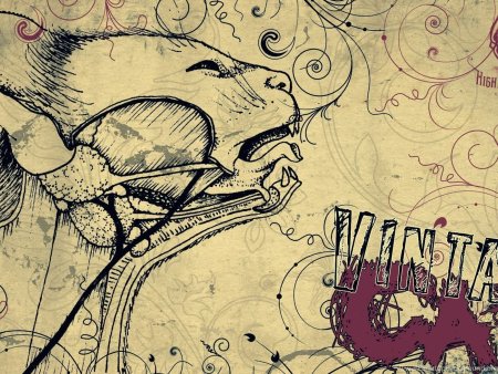 Обои на рабочий стол рисунки