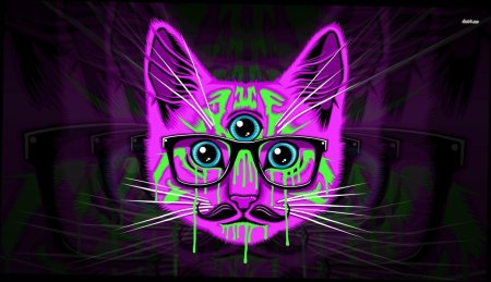 Кислотные коты