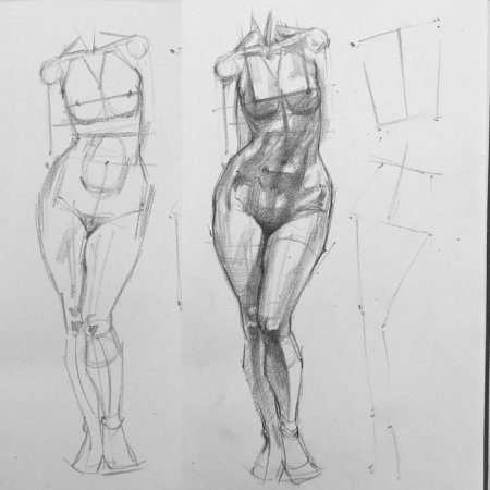 Анатомия женского тела для художников