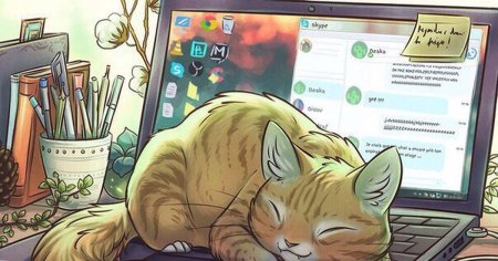 Кот за компом арт