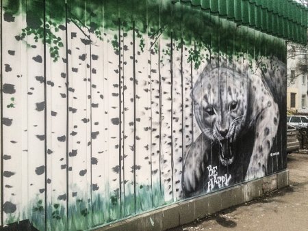 Рисуем на заборе