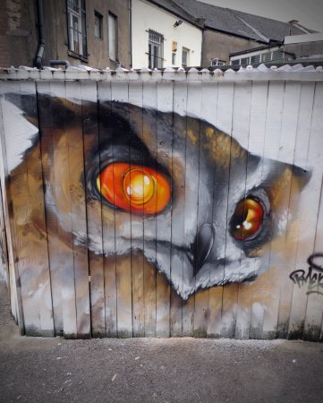 Граффити на заборе