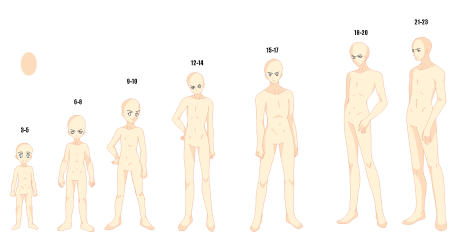 Манекены для рисования по возрасту