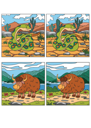 Карточки Найди различия