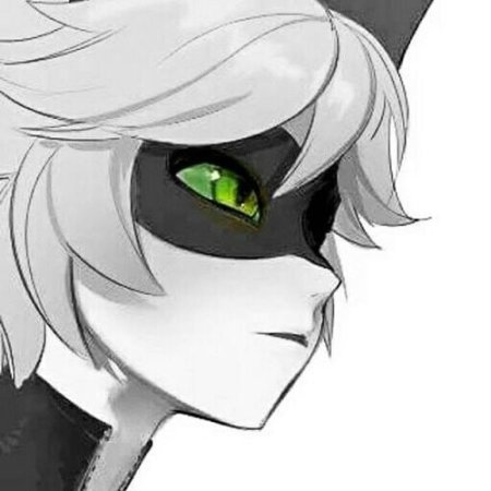 Леди баг и кот Блан аниме