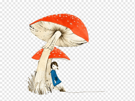 Аманита Мускария арт