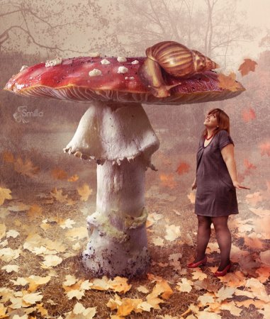 Инди КИД девочка мухомор