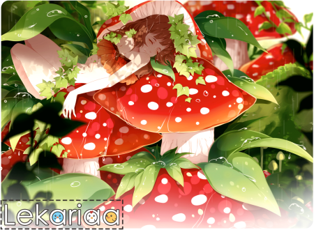 Дорошева Светлана мухомор