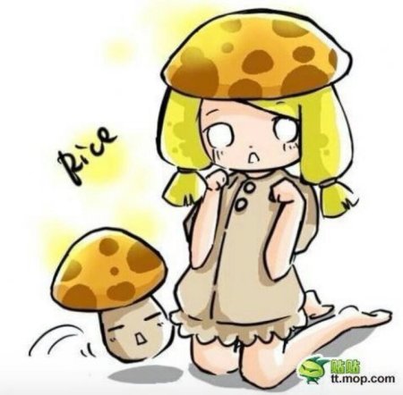 Мухомор инди КИД