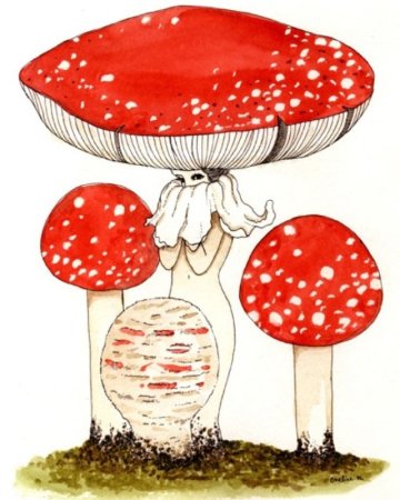 Девочка мухомор