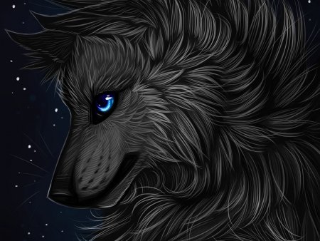 Блэк Вольф арт волка