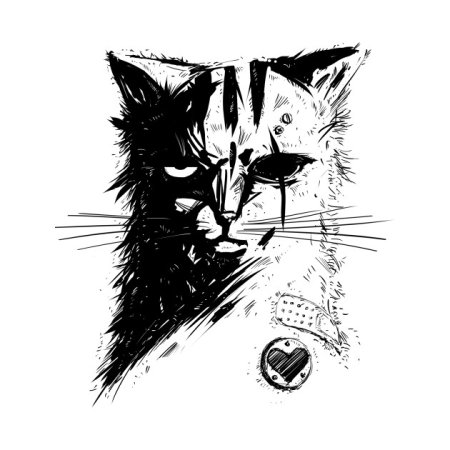 Злой кот