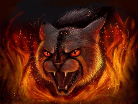 Злой кот арт
