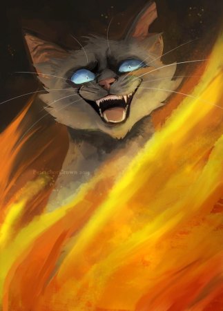 Коты Воители злые