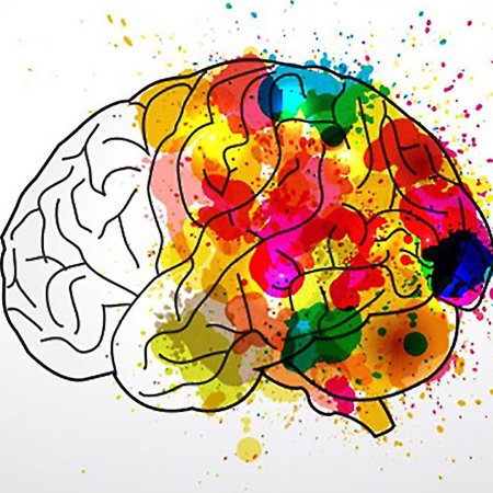 Креативный мозг