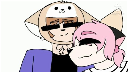 Кошка Лана и Йоши шип