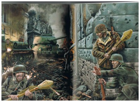 СС Шарлемань солдаты